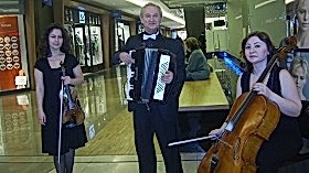 Çello Dersi Fiyatları Çello Kursu